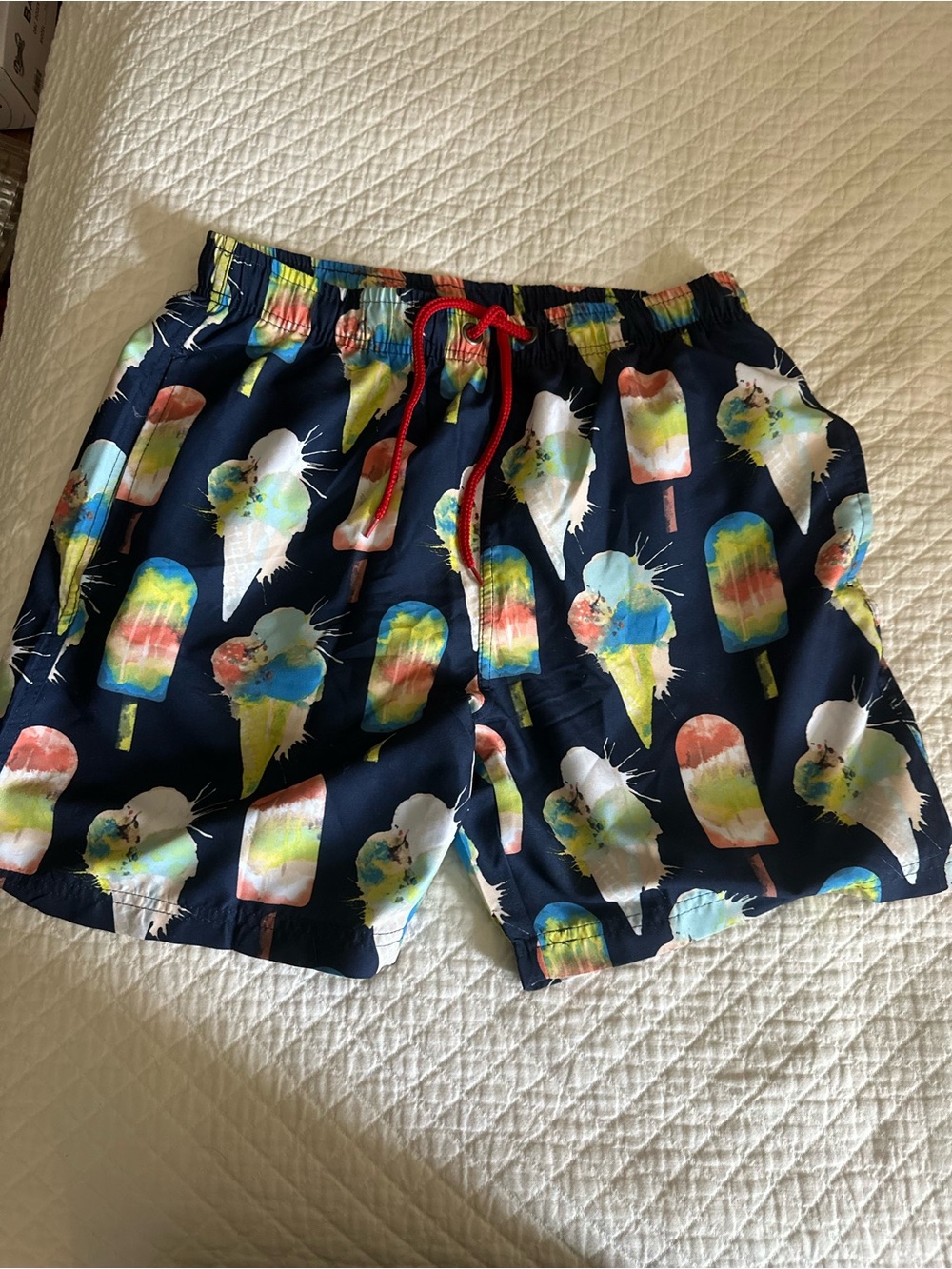 Men’s Navy Swim Trunks with Multicolor Popsicle Print